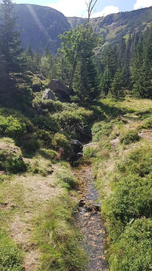 Skaly Spaly Przesieka Exteriör bild
