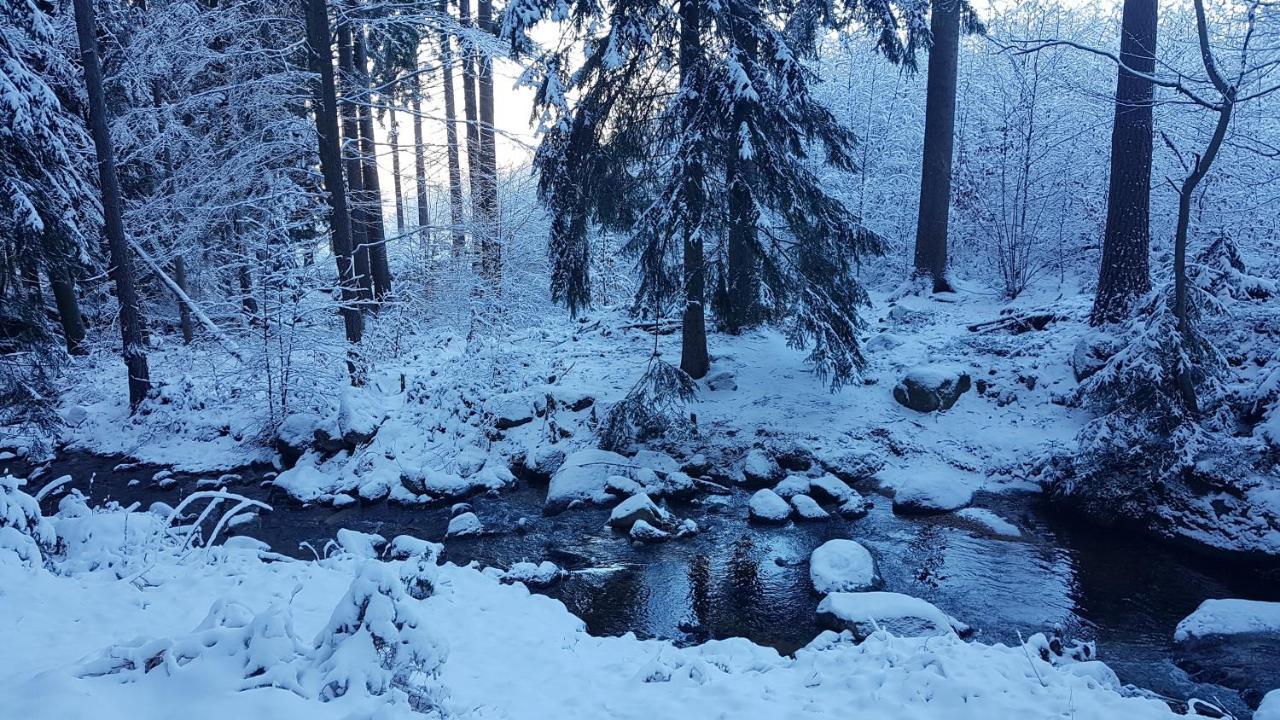 Skaly Spaly Przesieka Exteriör bild