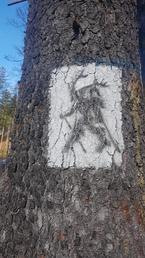 Skaly Spaly Przesieka Exteriör bild