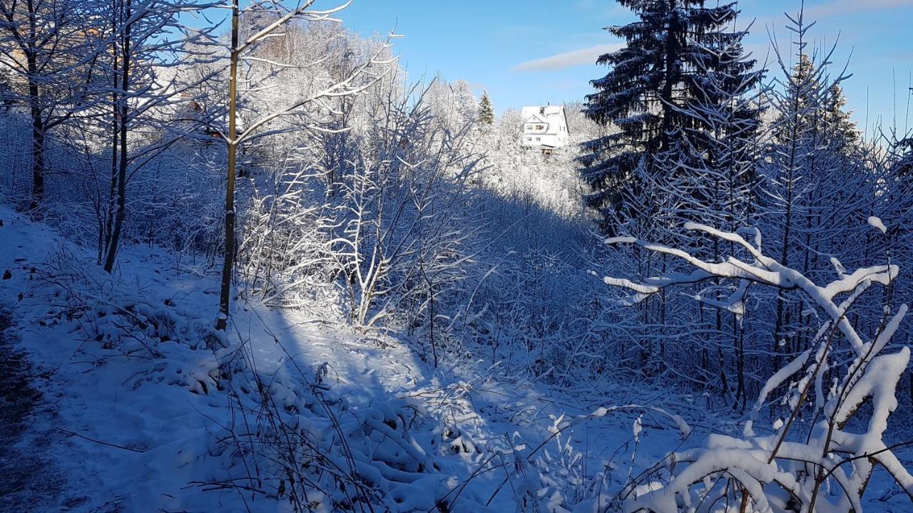 Skaly Spaly Przesieka Exteriör bild