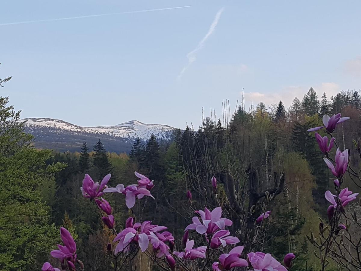Skaly Spaly Przesieka Exteriör bild